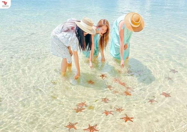 Tour riêng check-in vương quốc sao biển (Starfish Beach – Rạch Vẹm)