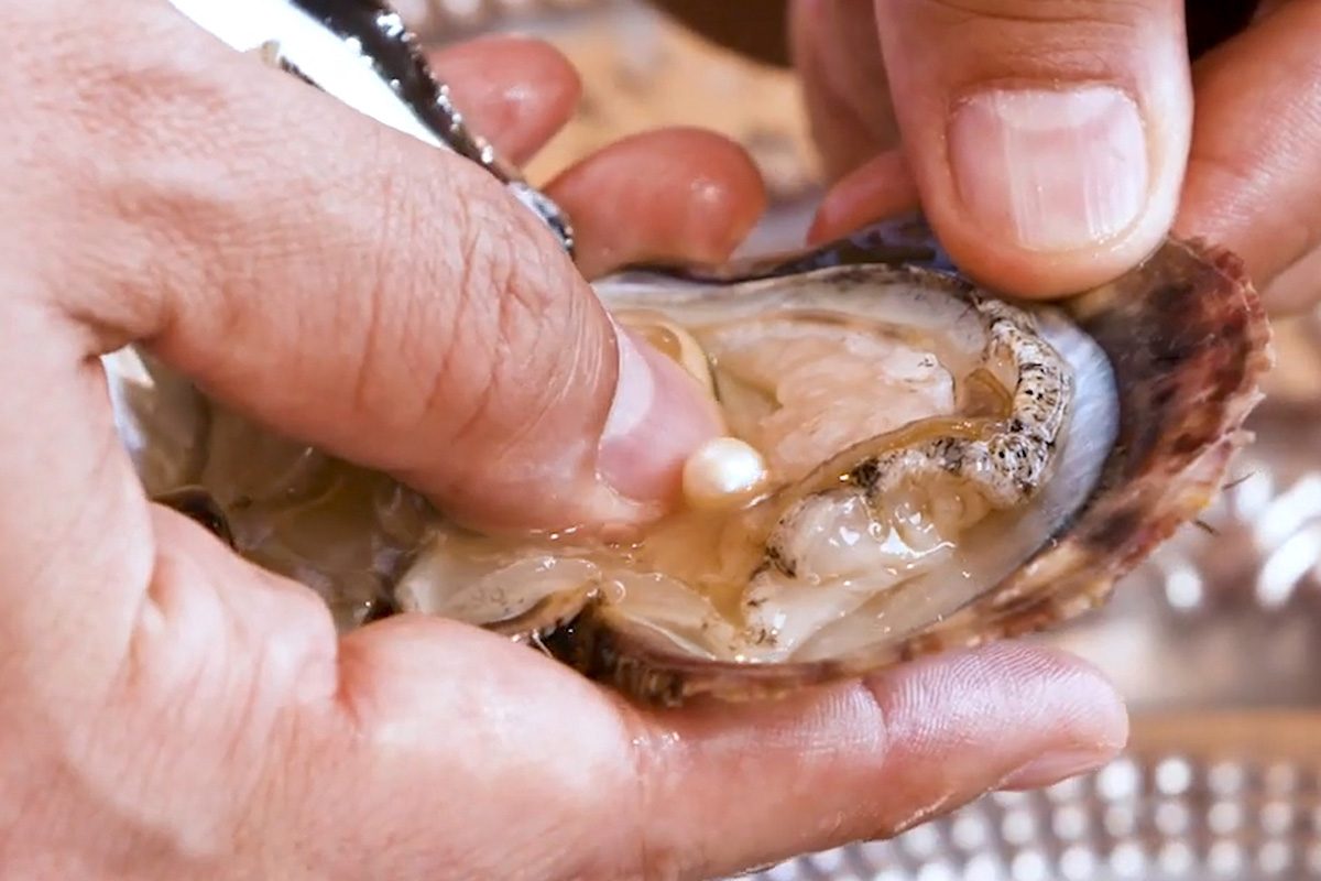 Тайный Фукуок – день, полный впечатлений